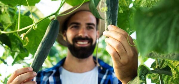 organic4 organic4