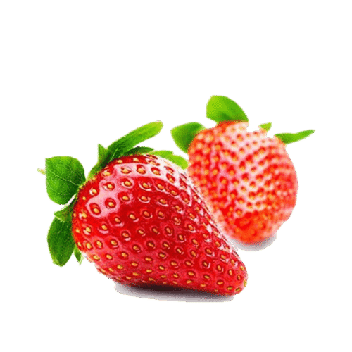 h3-product13 h3-product13