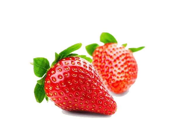 h3-product13 h3-product13
